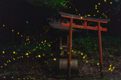 鳥居