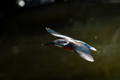 Sunshine On My Shoulders /太陽を背に受けて 