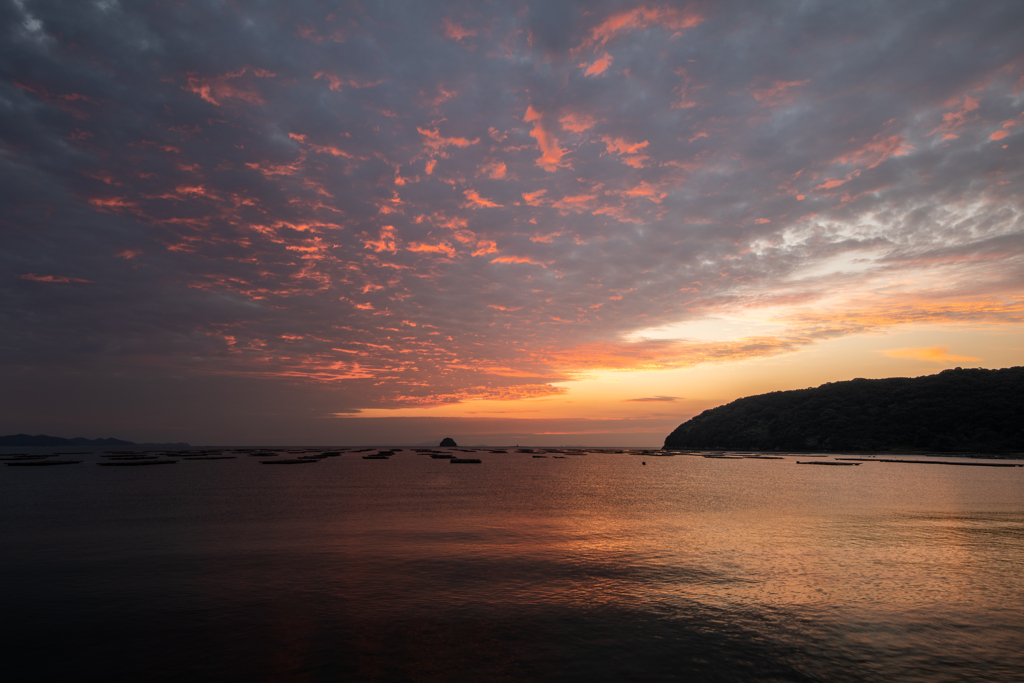 錦海湾2