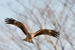 なに握ってるｗ