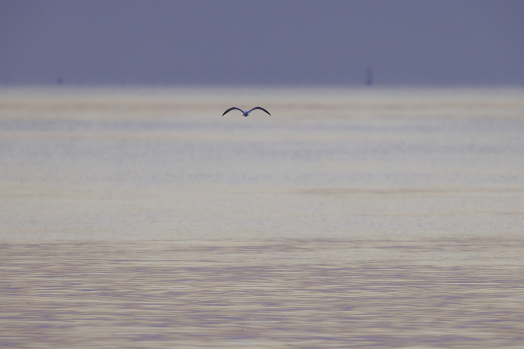 静かな海