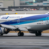 イルカの飛行機