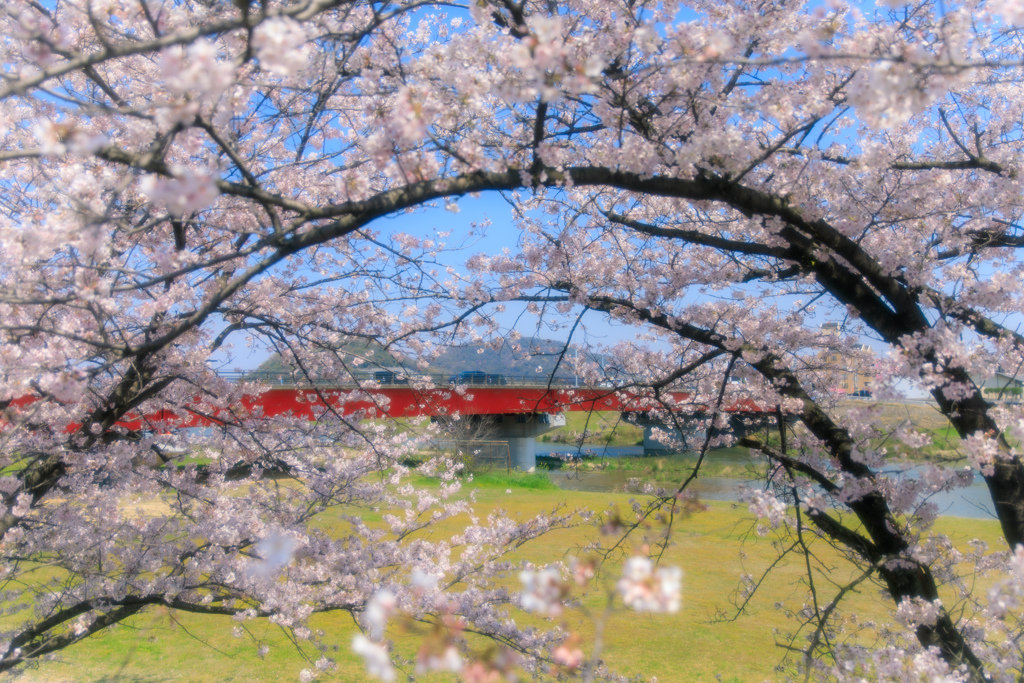 春の情景1