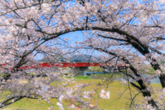春の情景1