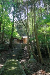 ヒメの生息する神社