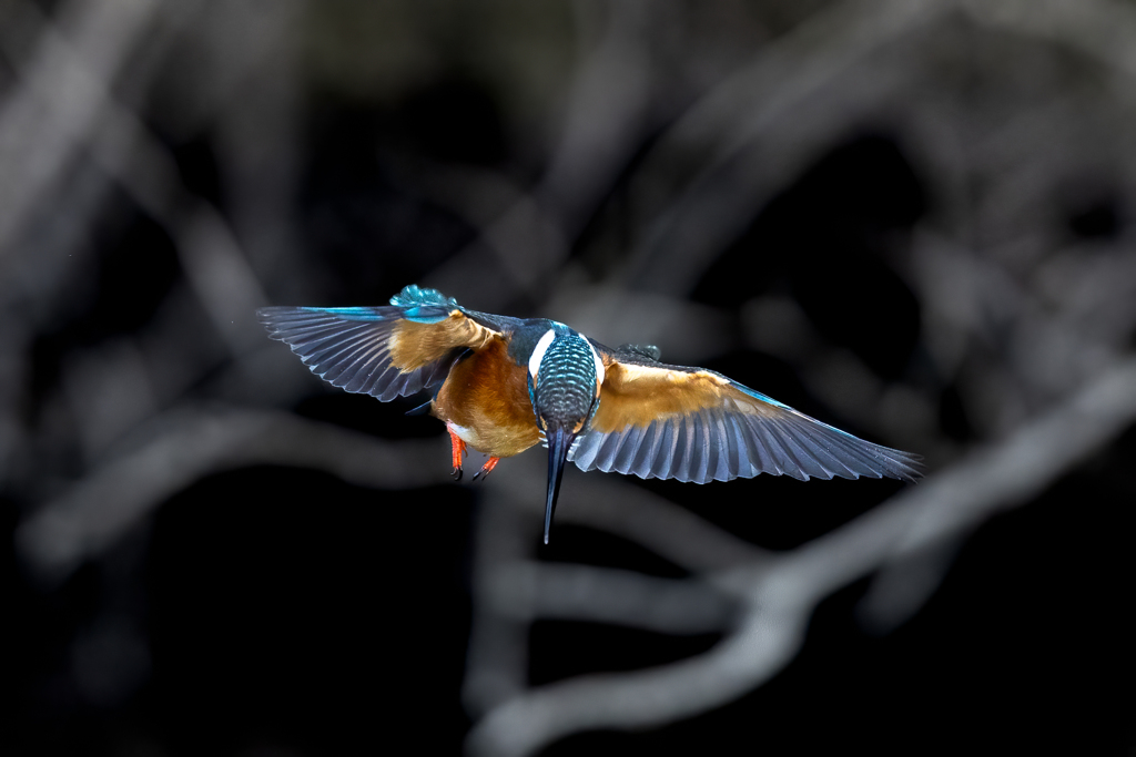 ☆狙☆い☆撃☆ち☆