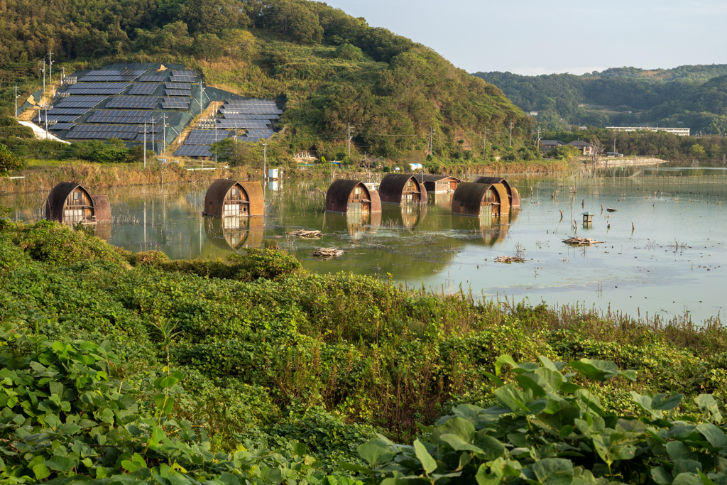 水に浮かぶ1