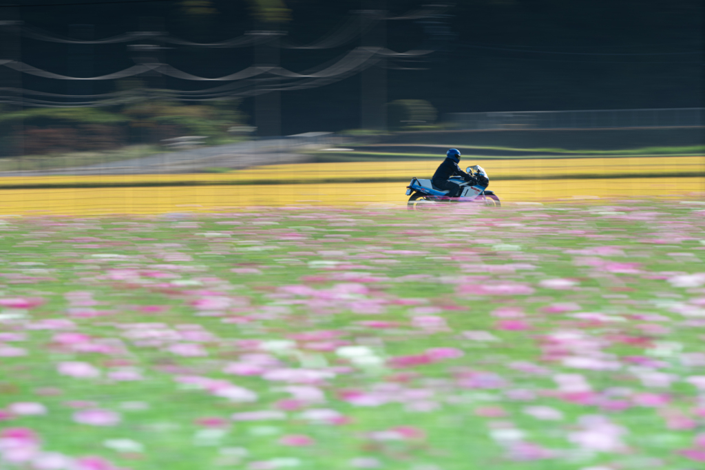 駆け抜ける