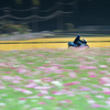 駆け抜ける
