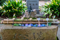 ずっくんのいるお社1