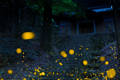 玉姫殿