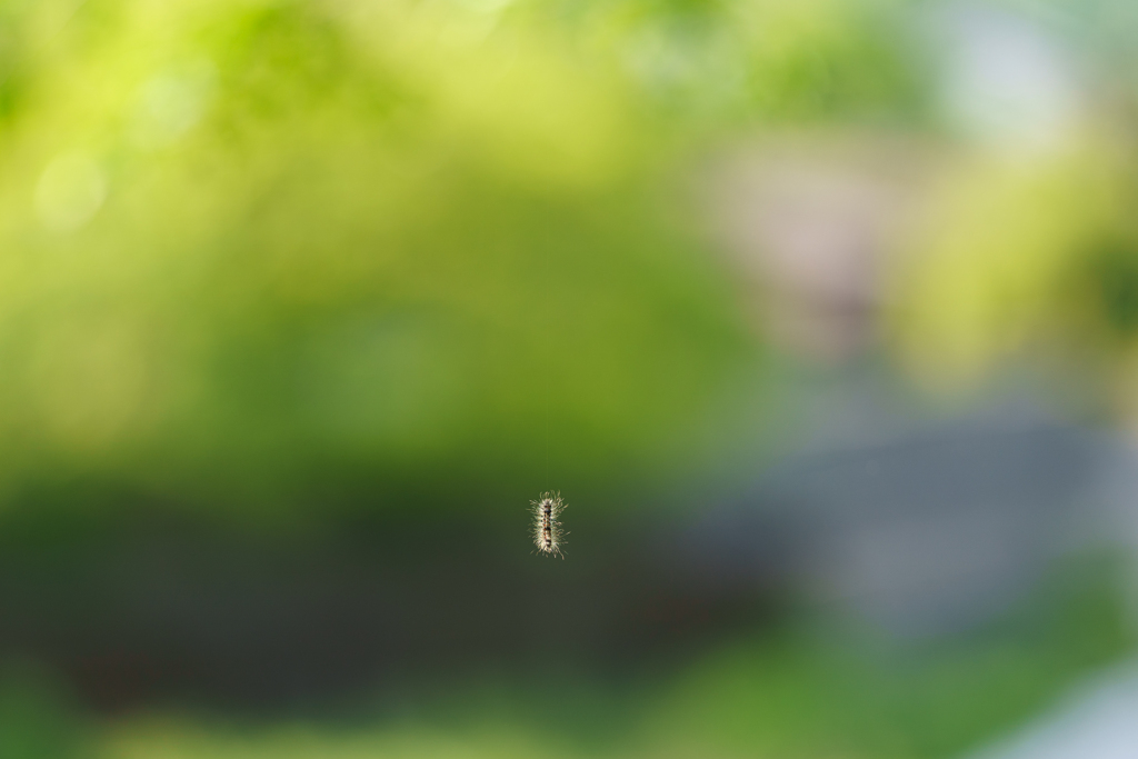 ケムんパスでやんす