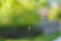 ケムんパスでやんす