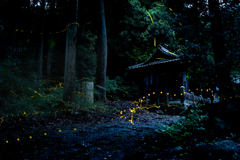 人里離れた神社にて　其壱