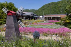 ちづちゃんの花園