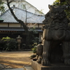 神社の番人