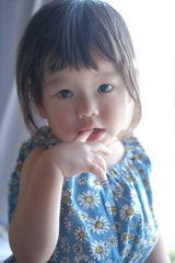 DSCF8328re