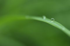 雫（蔵出し写真）