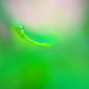 しのぶれど