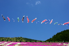 悠々と