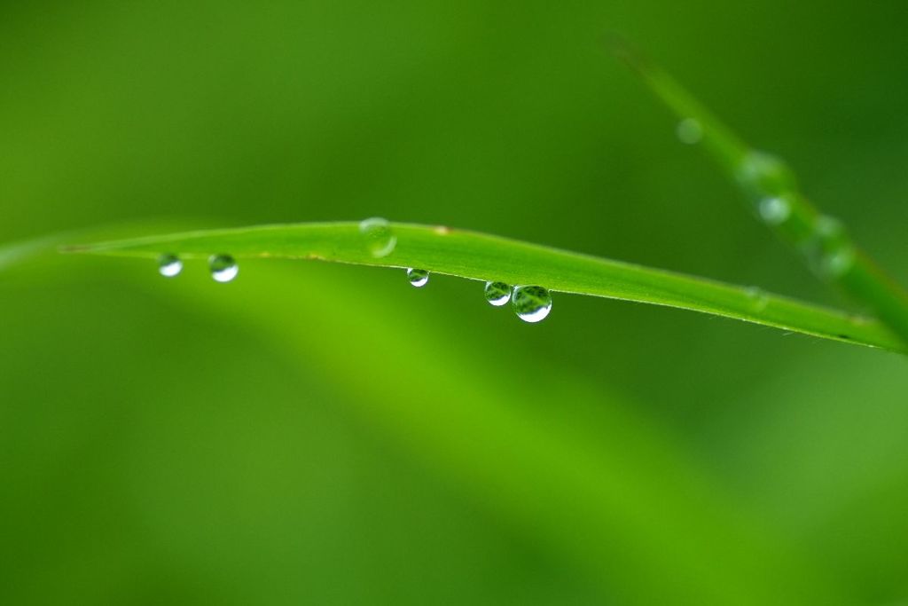 雫（蔵出し写真）
