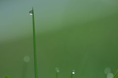 この指とまれ