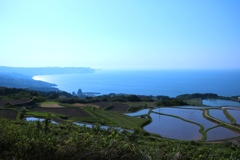 長門