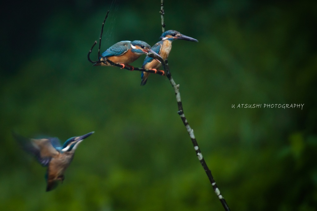 parent and child