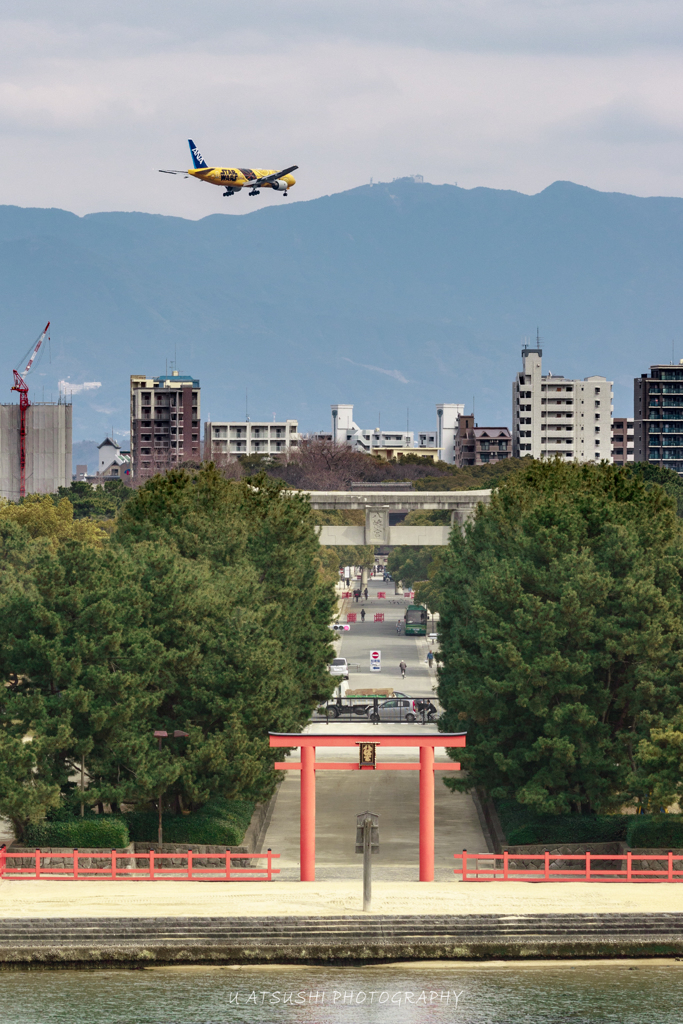 Hakozakigu Shrine