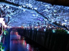 DSCF2749