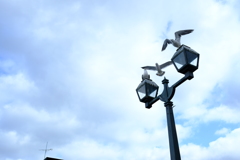 DSCF2300