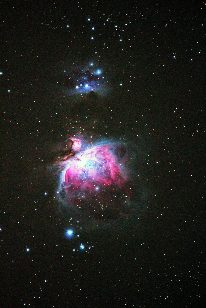 M42　@シグマ 150-600mm ズームレンズ/w APS-Cカメラ