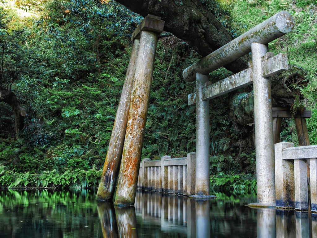 茨城県　鹿島神宮　御手洗池