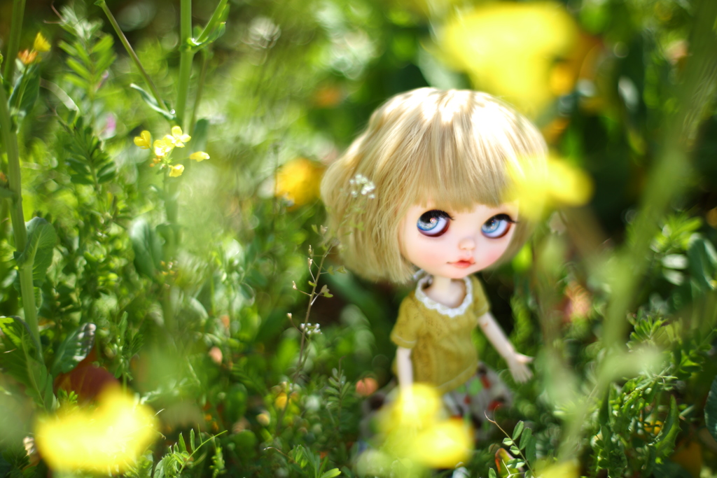 『 菜の花畑のLana ( 春の妖精 ) 』