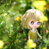 『 菜の花畑のLana ( 春の妖精 ) 』