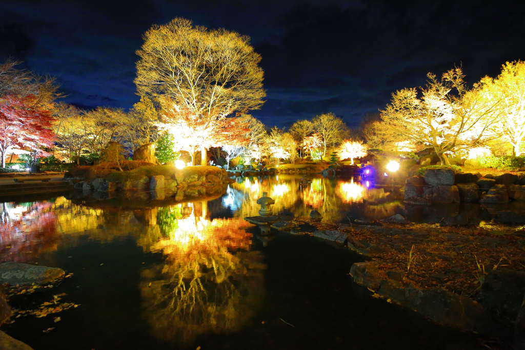 冬桜モデル撮影会後の桜山公園ライトアップ 1 By Luki Id 写真共有サイト Photohito