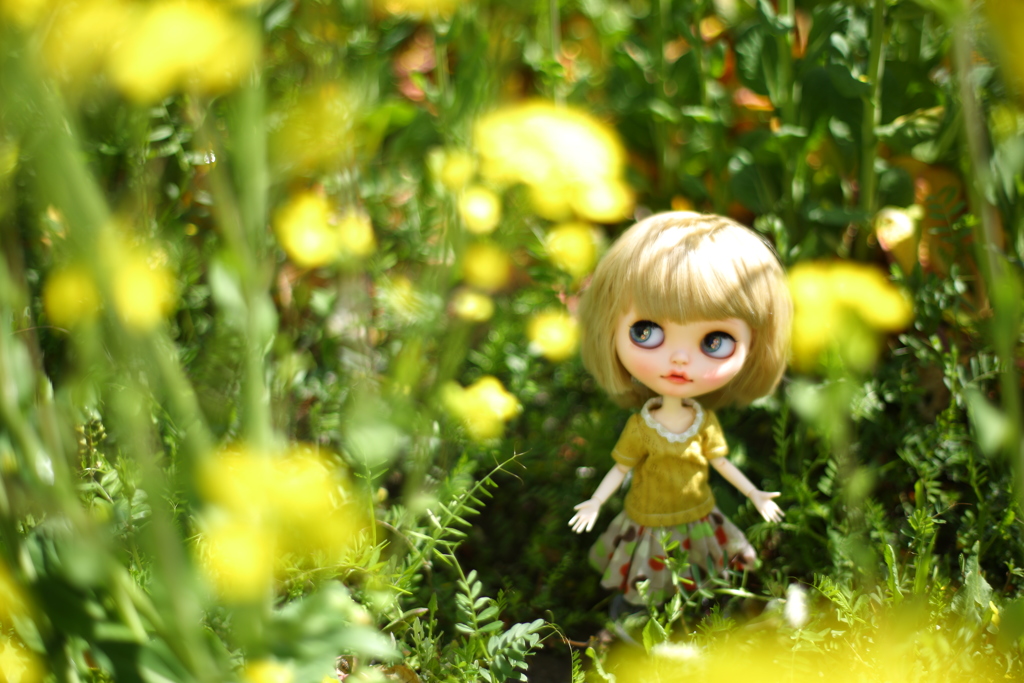 『 菜の花畑のLana (春の妖精) 』