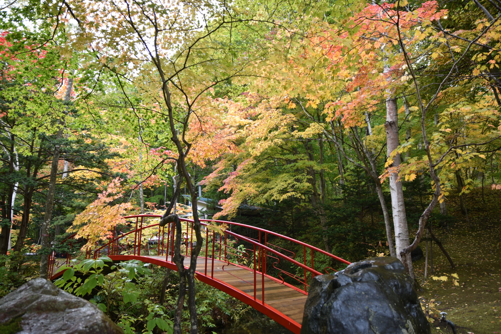 紅桜公園内にて