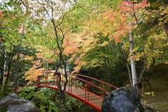 紅桜公園内にて
