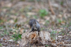 今週末も出会えて良かった♪
