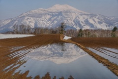 突然現れたリフレクション