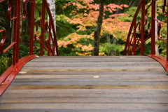 紅桜公園内の橋にて