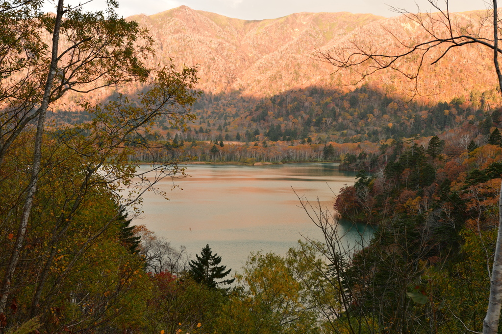 晩秋のオコタンペ湖