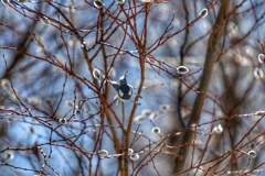 初春の陽気に誘われて