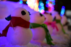 スノーフェスティバルにて