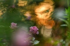 これからがシーズン