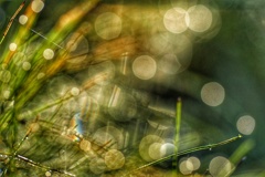 身に纏う雫がキラリ(☆∀☆)