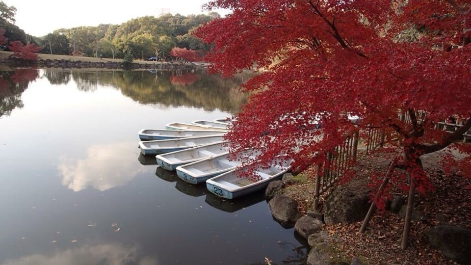 浮御堂の紅葉