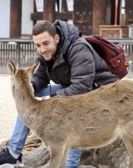 奈良公園　意外と多い観光客