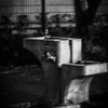 DSC_0426